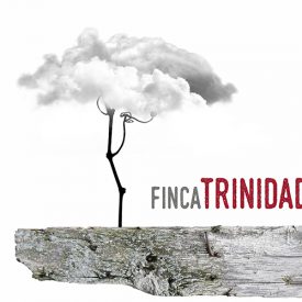 Vinos Finca Trinidad